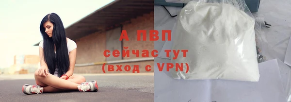 скорость Белокуриха