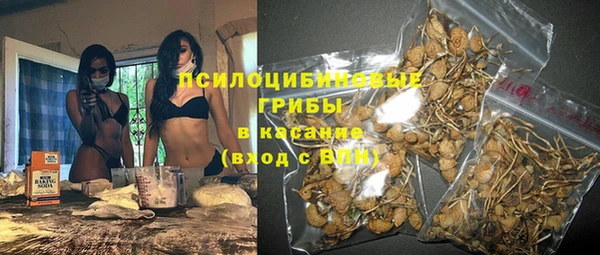 дживик Белоозёрский