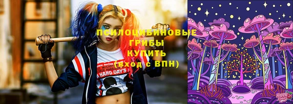 дживик Белоозёрский