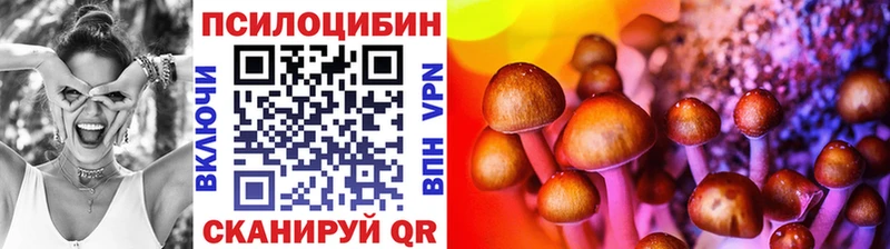 МЕГА ссылки  Владивосток  Псилоцибиновые грибы Psilocybine cubensis  хочу наркоту 